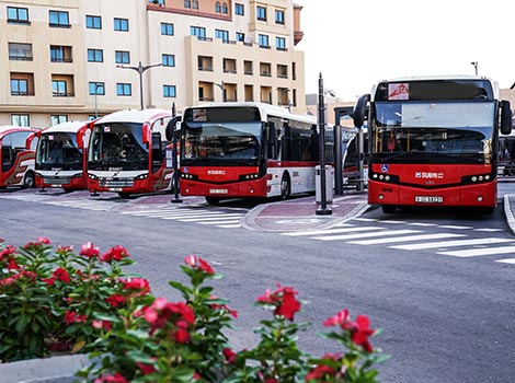 an image of Dubai buses fleet